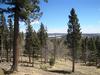 Alpine Splendor - (Drastically Reduced)